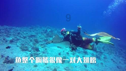 基恩：麦迪逊没有人们口中那么出色，他赶不上德布劳内